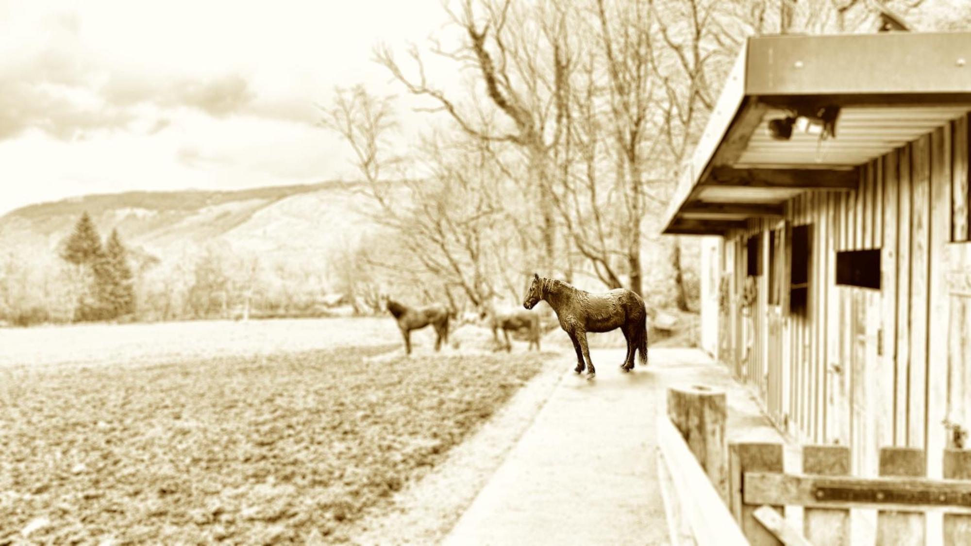 Вилла Whisky Whispers Hunters Quay Sandbank Номер фото